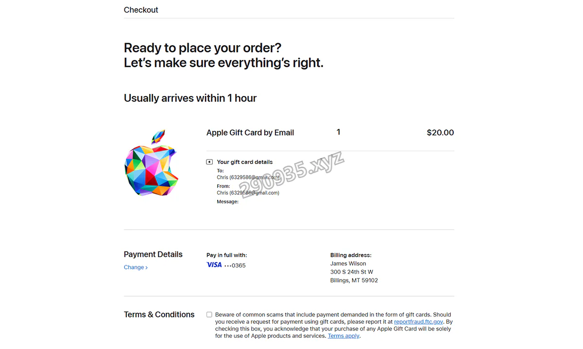 提交 Apple 礼品卡订单前的商品和付款信息确认页面